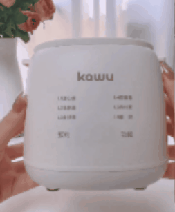 Nuevo 🚨 Hervidor eléctrico de huevos 🥚🥚